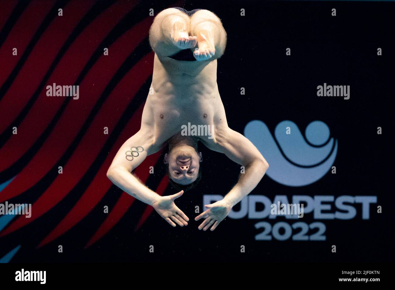 MARSAGLIA Lorenzo ITA 3m. springboard semifinal Diving FINA 19th World