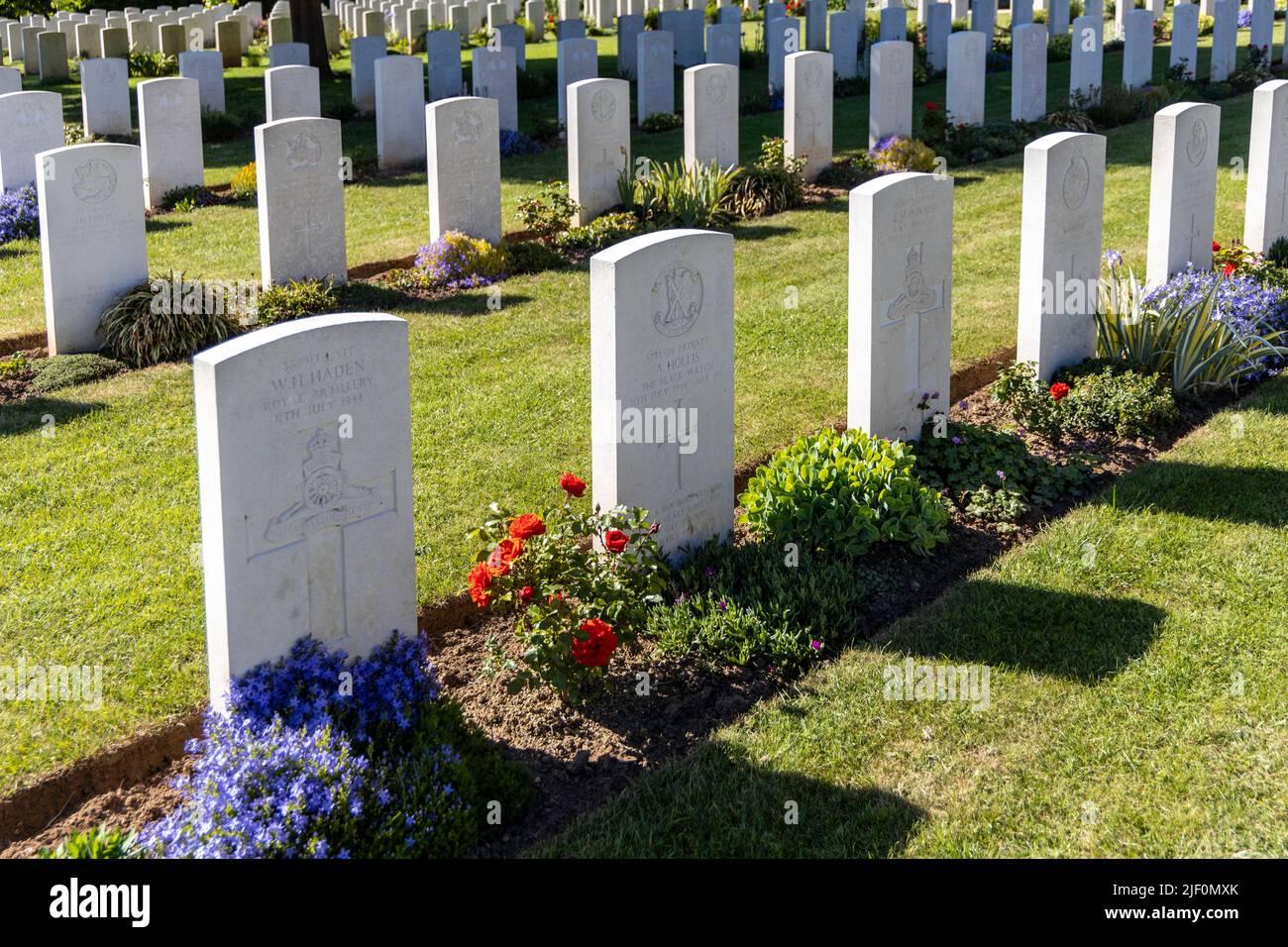Graves of British casualties of the D-Day landings at the Renville British War Cemetery Stock Photo