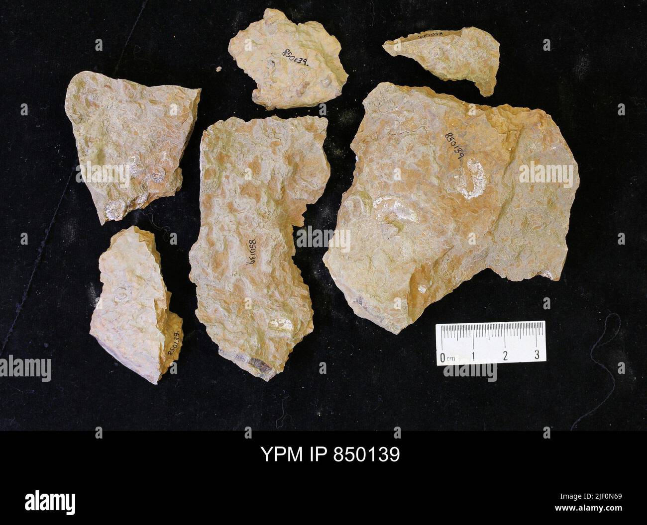 Matrix geology hi-res stock photography and images - Alamy