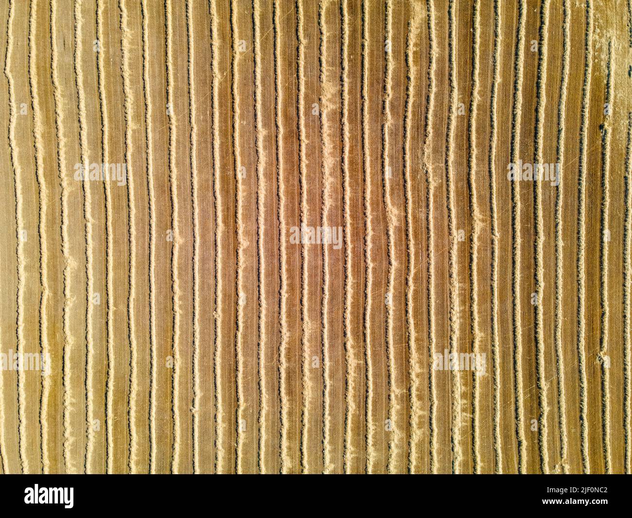 Aerial view background of cereal fields after harvest Stock Photo - Alamy