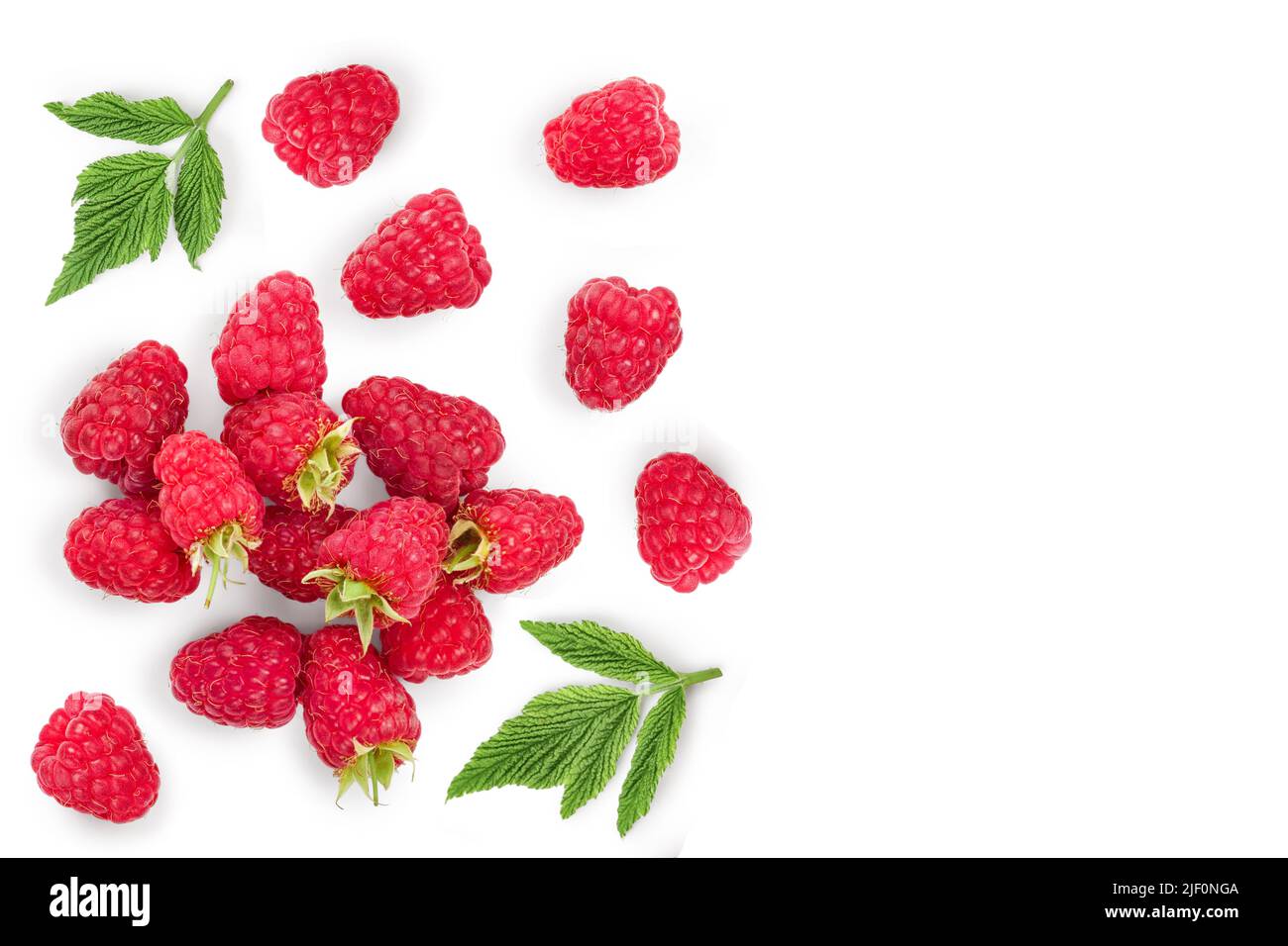 Raspberry Flat Lay raspberries with leaves isolated on white background with copy space ...