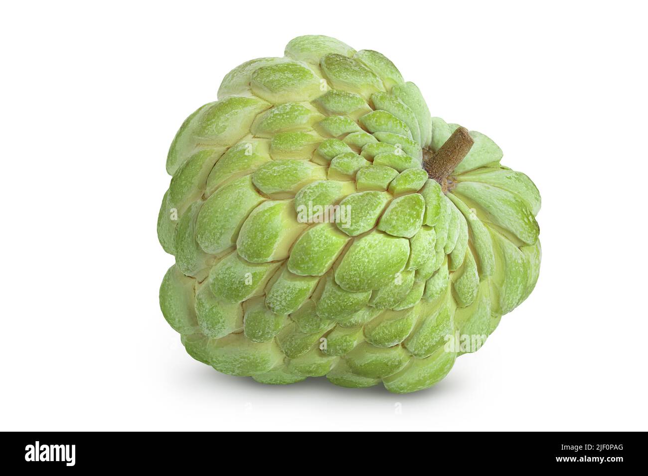 Sugar apple or custard apple isolated on white background with full depth of field. Exotic tropical Thai annona or cherimoya fruit Stock Photo