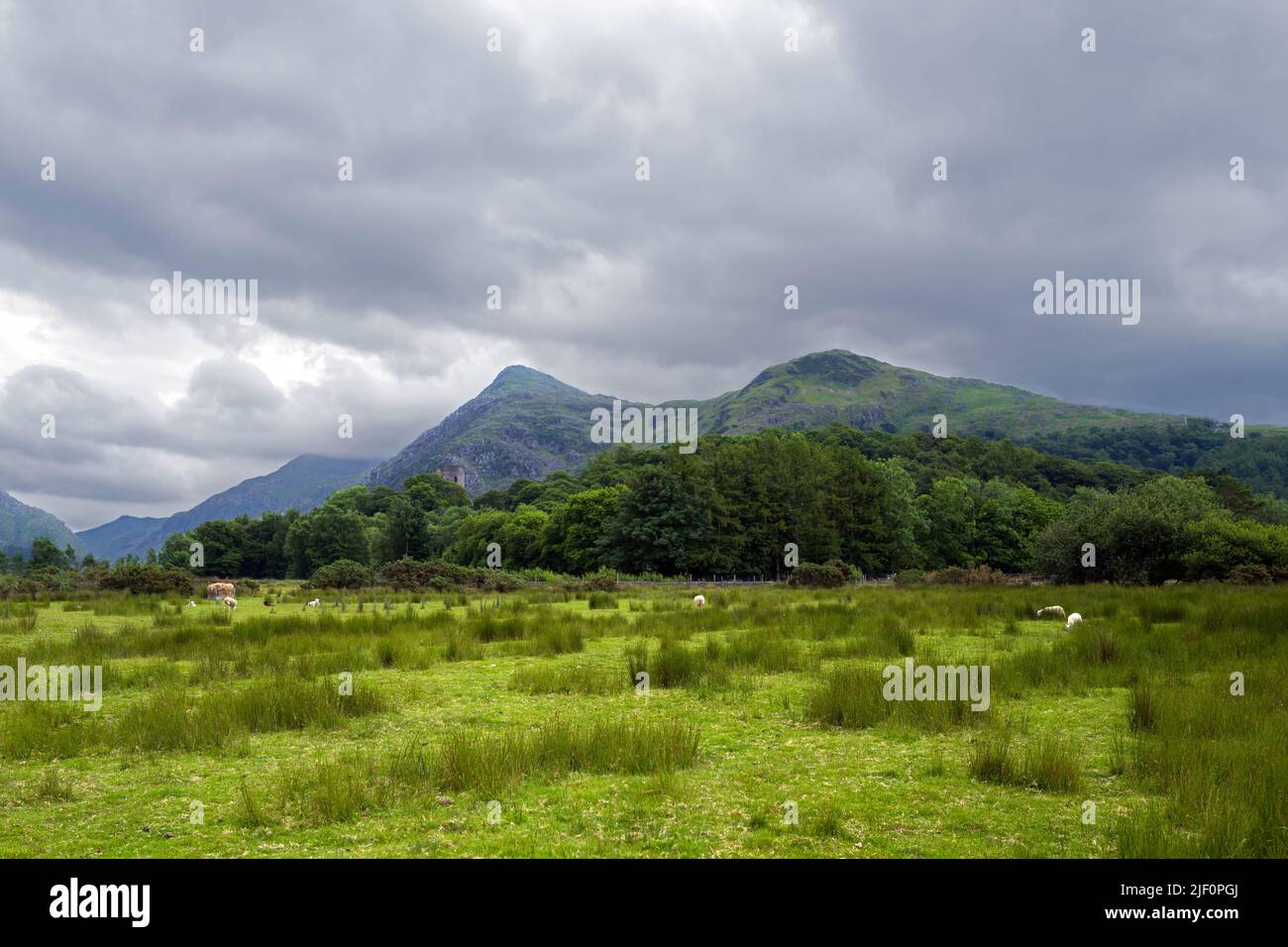 Derlwyn is a peak just to the south of Llanberis in the Snowdonia National Park. The photograph was taken from the Padarn Country Park. Stock Photo