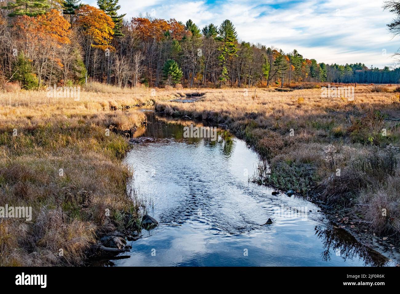 The East Branch of the Swift River in Petersham, Massachusetts Stock