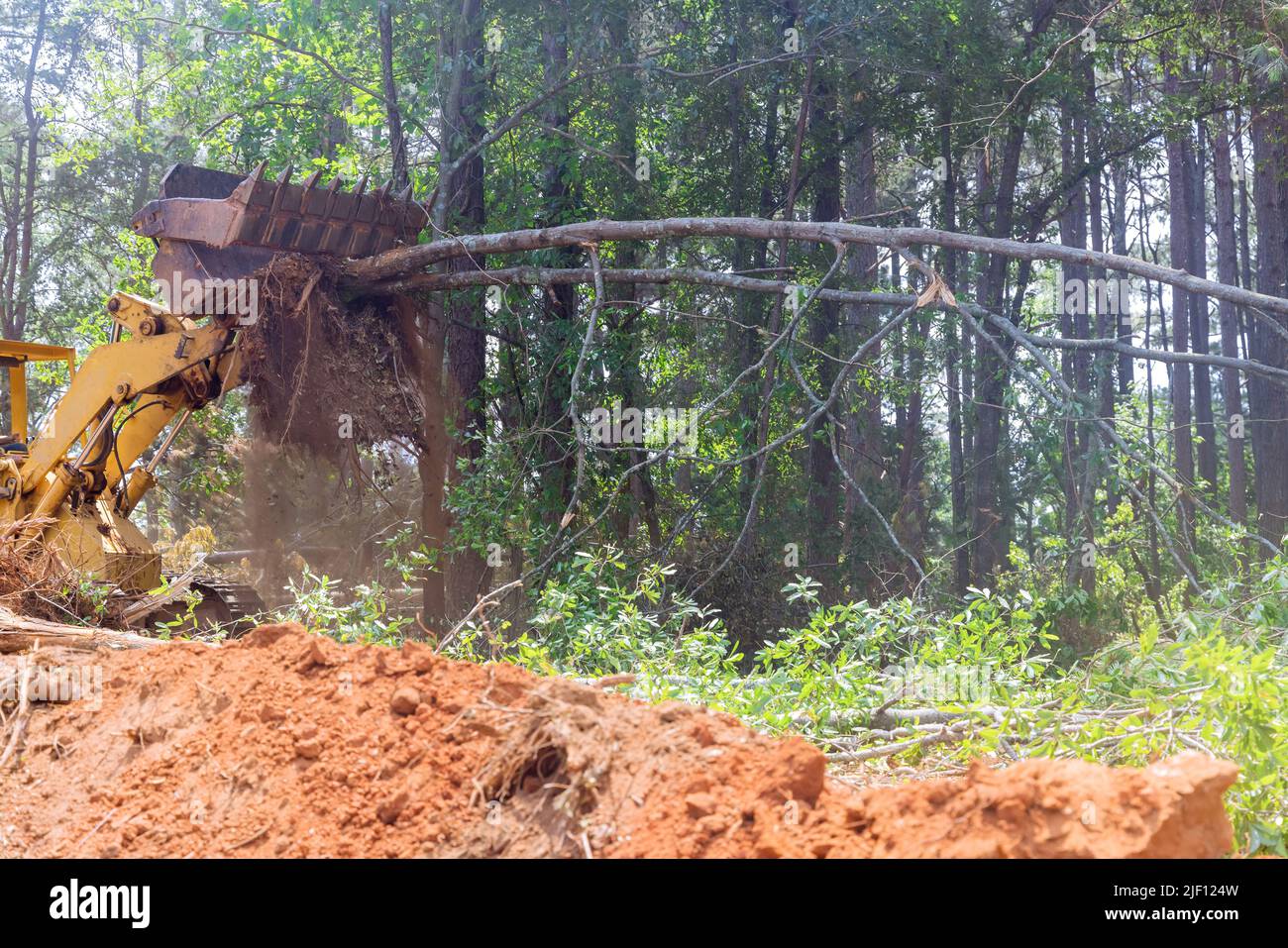 Tractor skid steers were used to clear land from trees from a land for ...