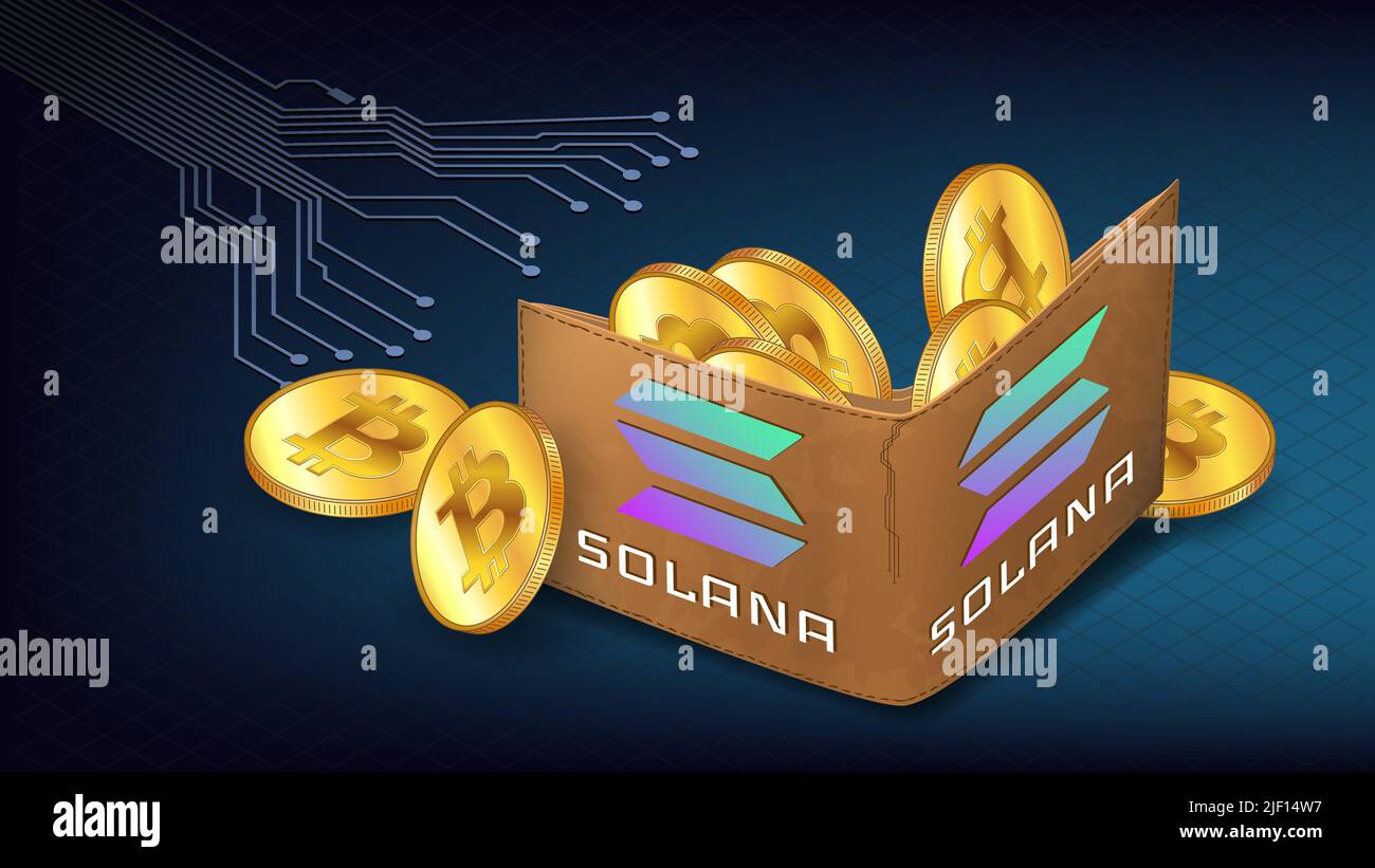 Bitcoin wallet vector vectors hi-res stock photography and images - Page 19  - Alamy