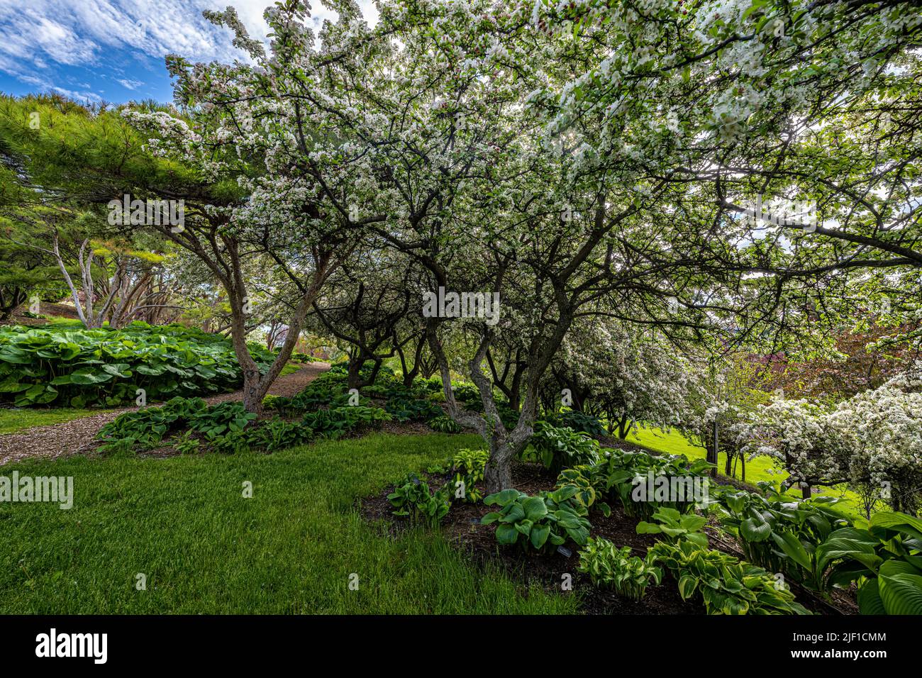 Arboretum and Botanical Garden in Moscow, Idaho Stock Photo Alamy