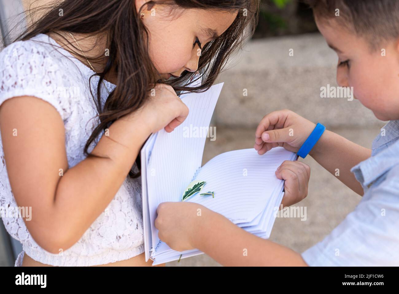 Children arrange flowers onto the pages of a notebook for making pressed flowers. Stock Photo