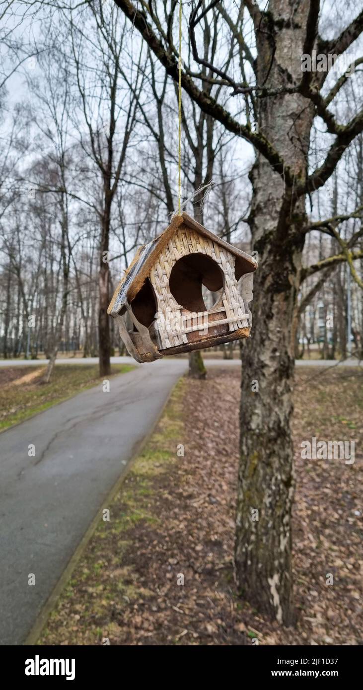 Bird feeder hanging on the tree branch. Bird feeding spot in a public