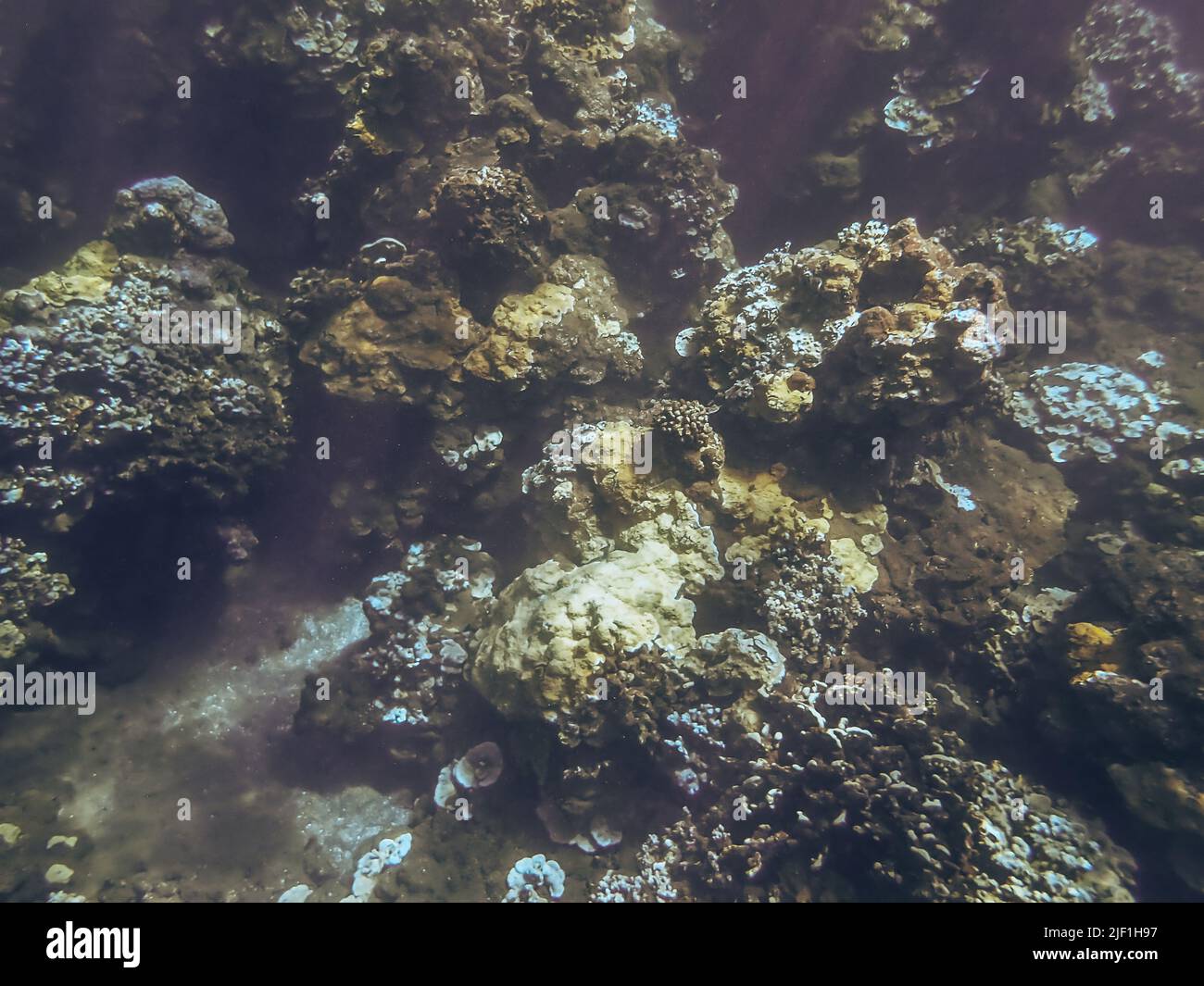 Underwater image of Pacific ocean water and the coral reef taken in Maui Hawaii. Stock Photo
