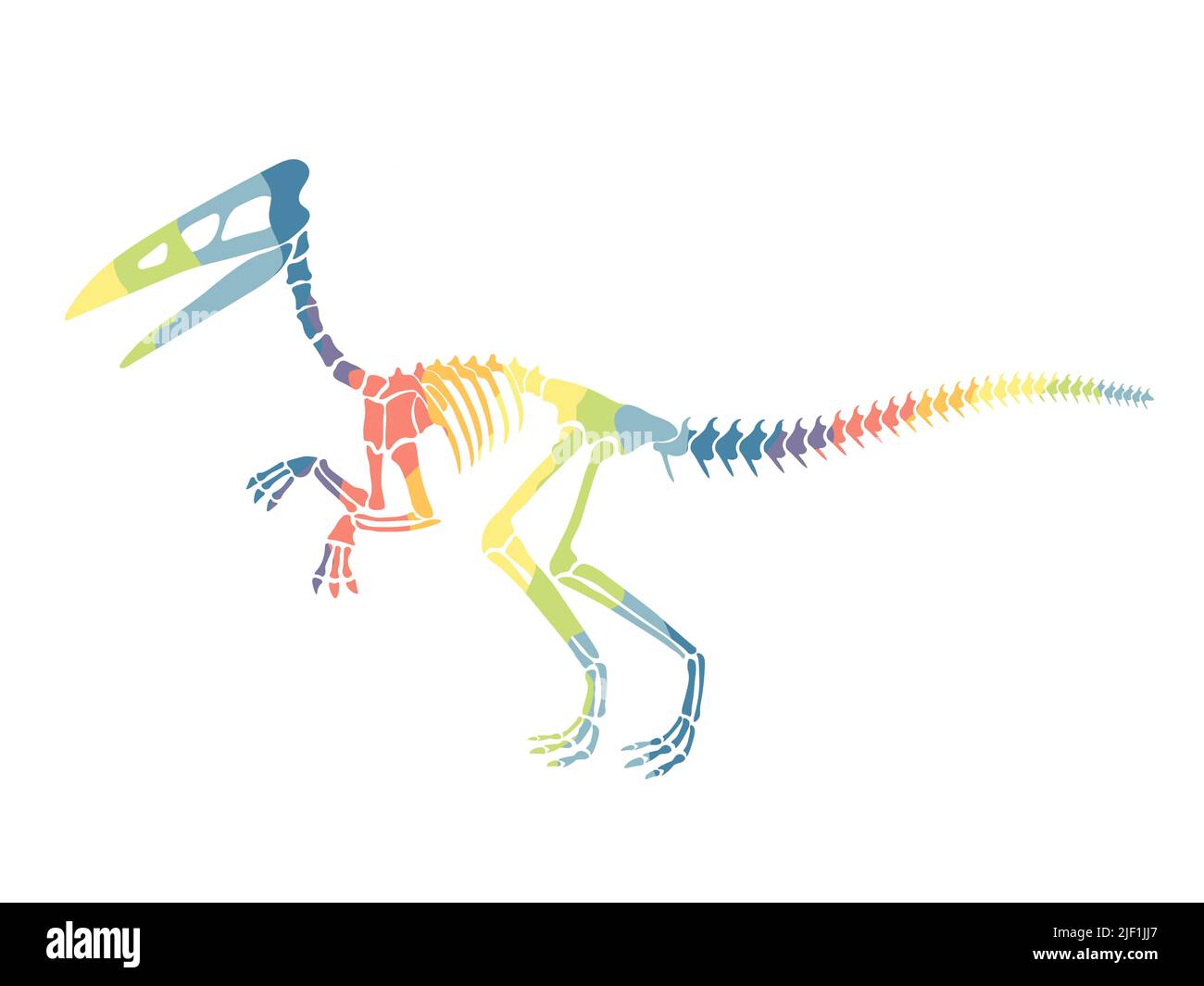 Vector illustration with rainbow dinosaur skeleton isolated on a white background. Stock Vector