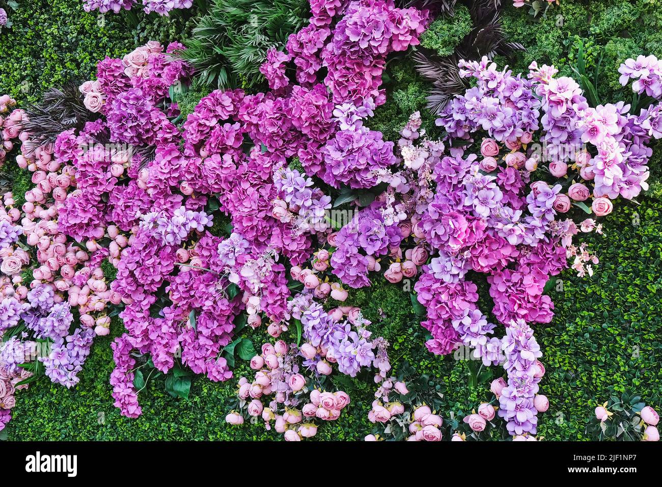 Decorative plant wall from artificial green grass and different pink purple flowers as romantic, wedding, background Stock Photo