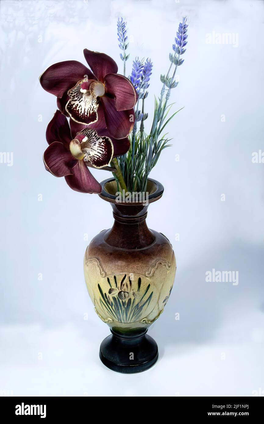 Purple Cymbidium Orchids (Boat Orchids) closeup in a vintage decorative ceramic vase. Fresh flowers close up isolated on a white coloured background. Stock Photo
