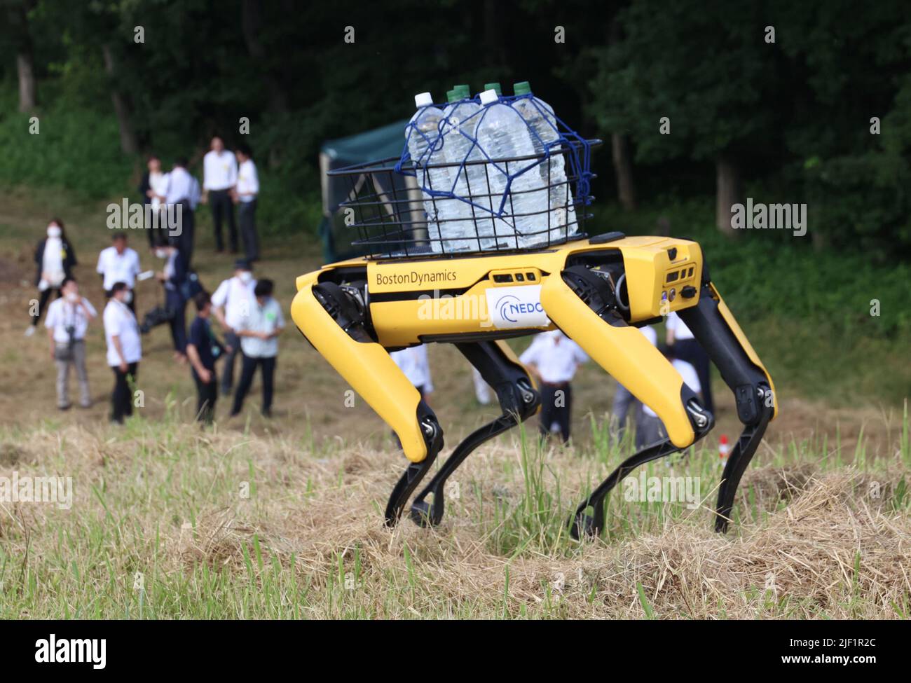 Tsukuba, Japan. 28th June, 2022. Boston Dunamics' 4-legs robot Spot carries water bottles for a demonstration to run autonomously at an artificial steep place at the Forestry and Forest Products Research Institute (FFPRI) in Tsukuba, suburban in Tokyo on Tuesday, June 28, 2022. FFPRI and Softbank started a field test using 4-legs robots to work for forestry from this month. Credit: Yoshio Tsunoda/AFLO/Alamy Live News Stock Photo
