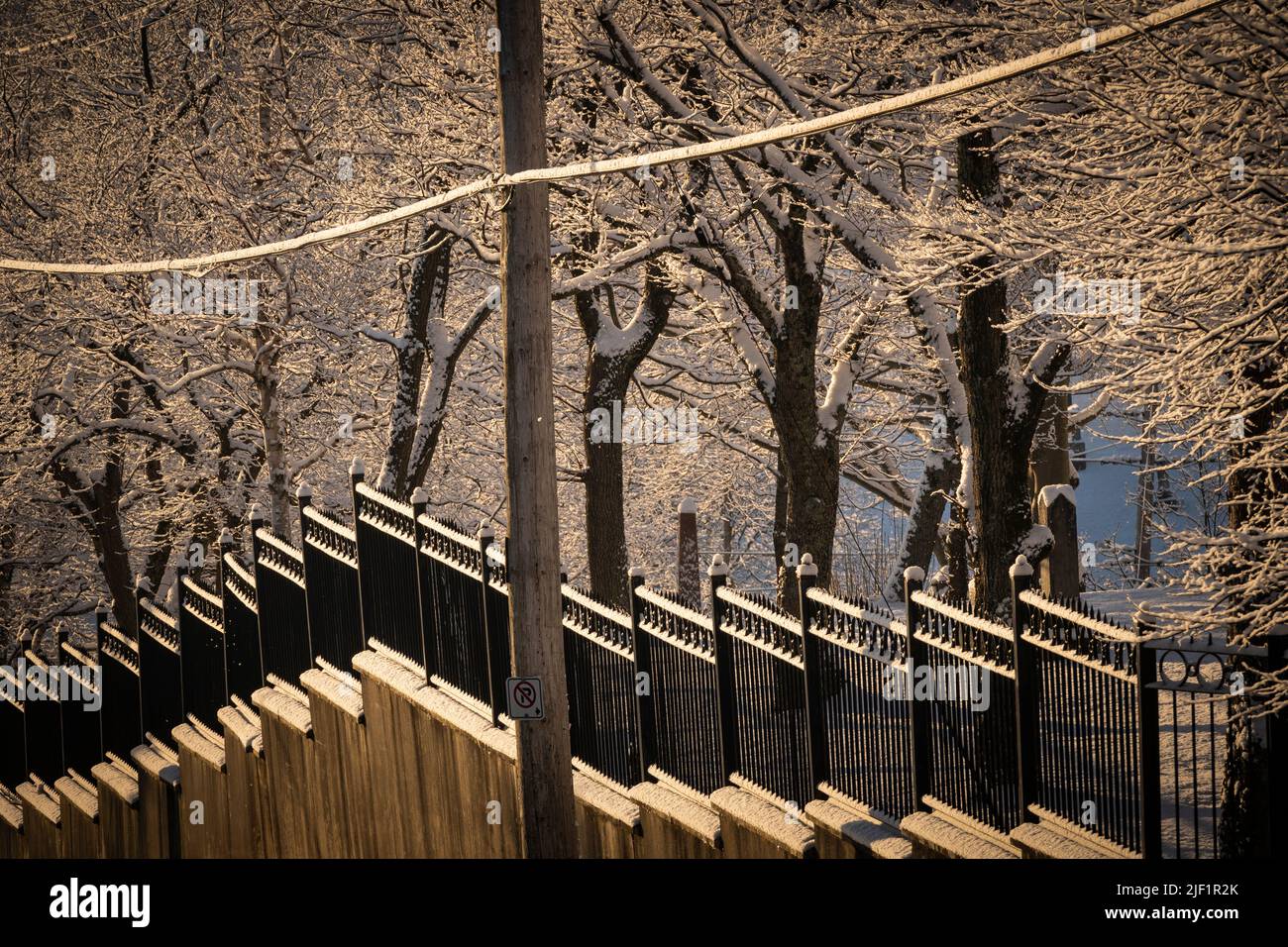 Wrought iron fence on top of a treelined concrete wall in winter Stock