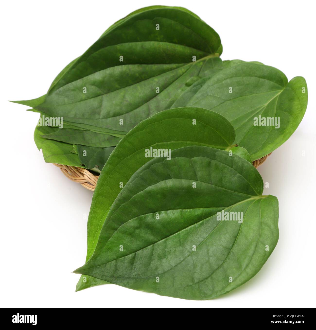 Edible Betel leaves  over white background Stock Photo