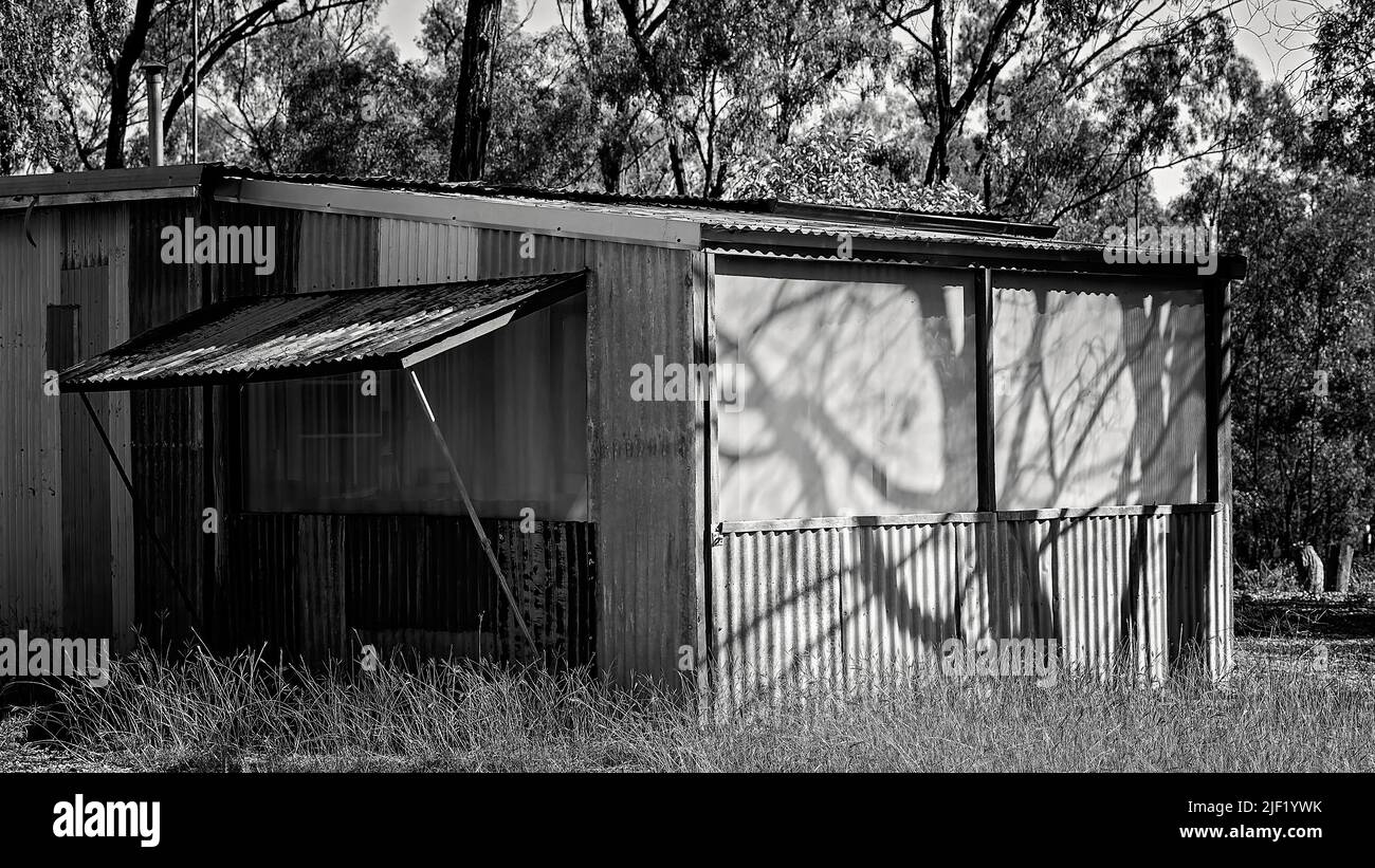 An old tin hut sitting abandoned on the Reward fossicking area at the
