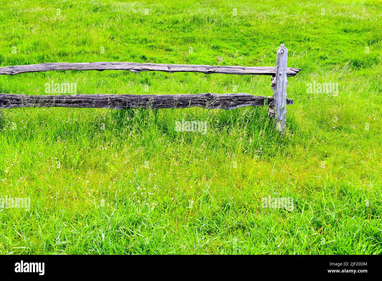 Old fence and green field Stock Photo