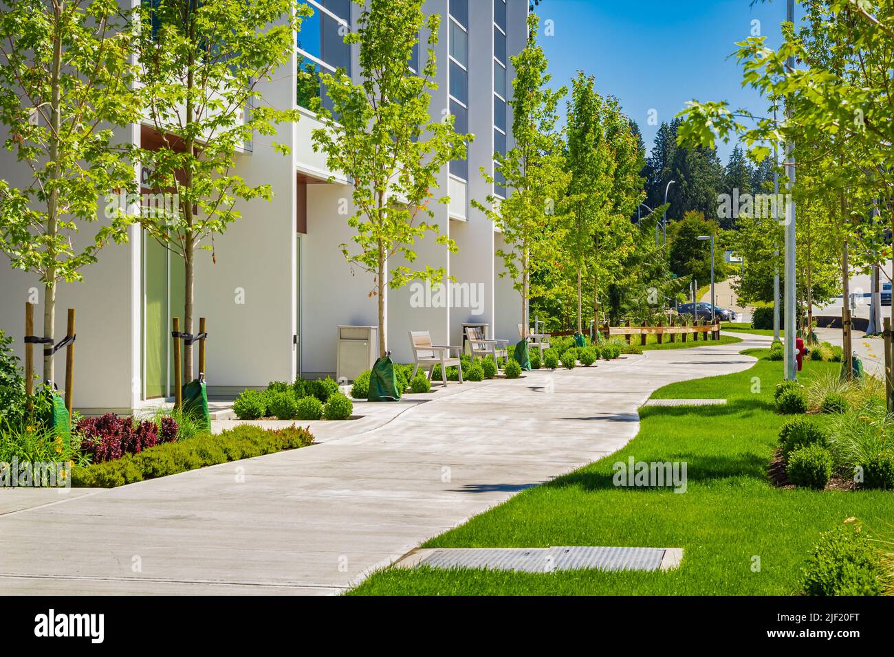 Street Vancouver Canada Tree Way Hi Res Stock Photography And Images Alamy