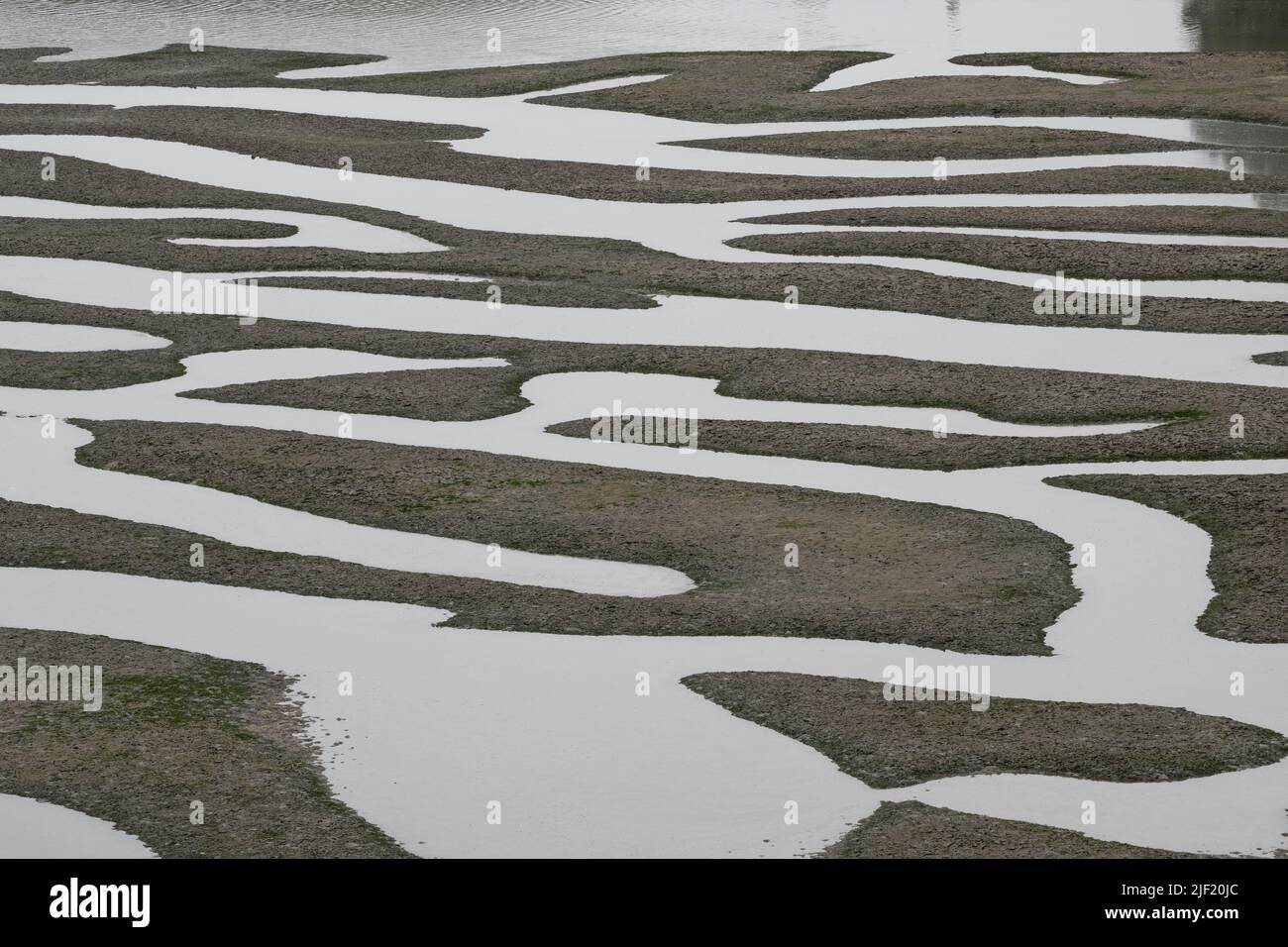 The natural patterns of a mudflat and water paths at low tide in Point Reyes National seashore in California. Stock Photo