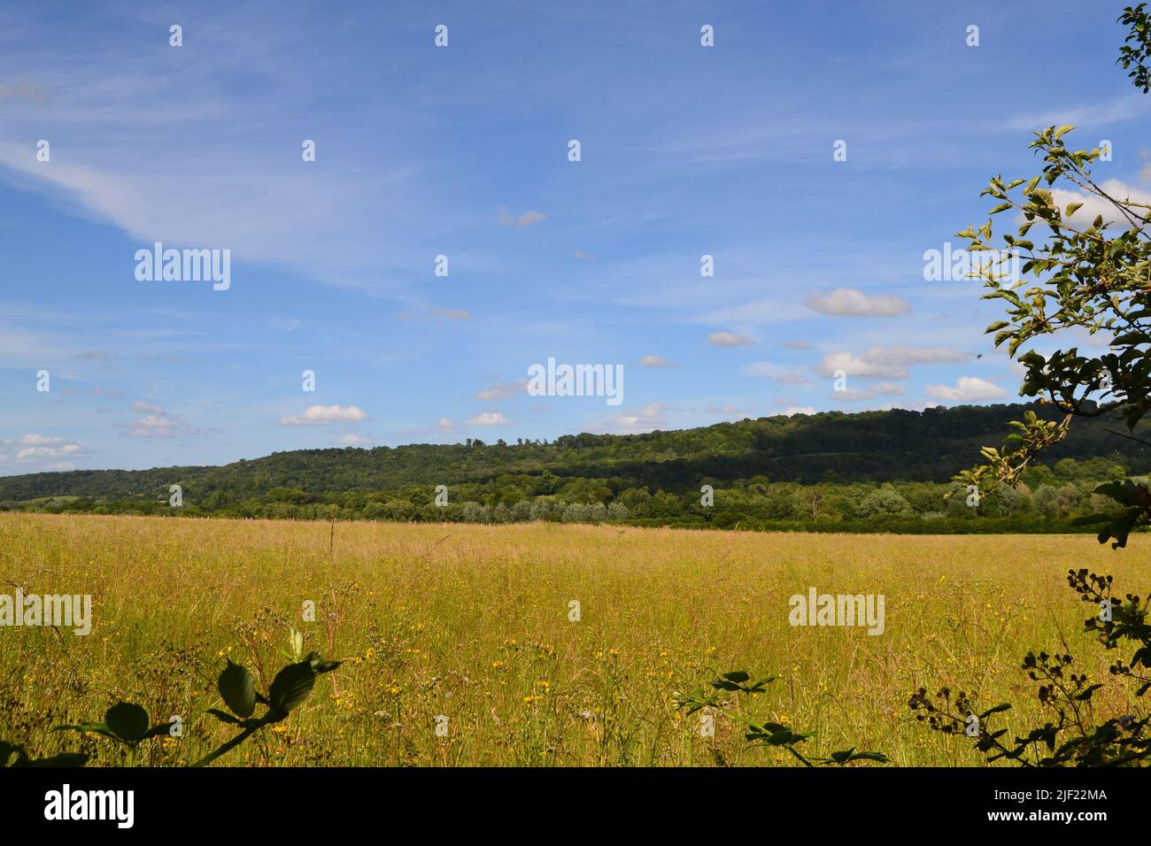 Countryside at head of Darent Valley near Sevenoaks, Otford, Shoreham in late June. meadows, woods, hedgerows, fields, woods, bucolic rural landscape Stock Photo