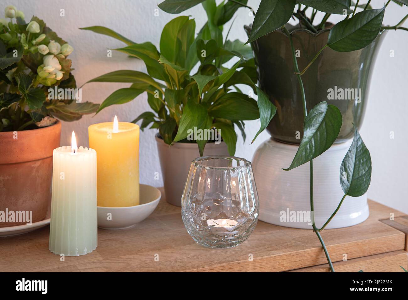 Green leaves of house plants and candles, cozy elegant home interior decoration arrangement. Stock Photo