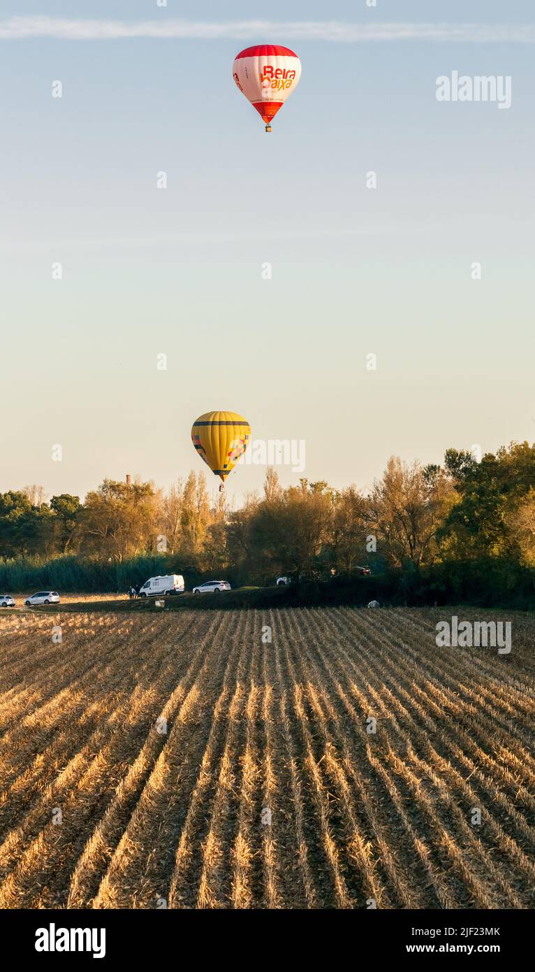 Coruche, Portugal - November 13, 2021: Two hot air balloons flying over agricultural fields, one close to the trees and the other higher, in Coruche, Stock Photo