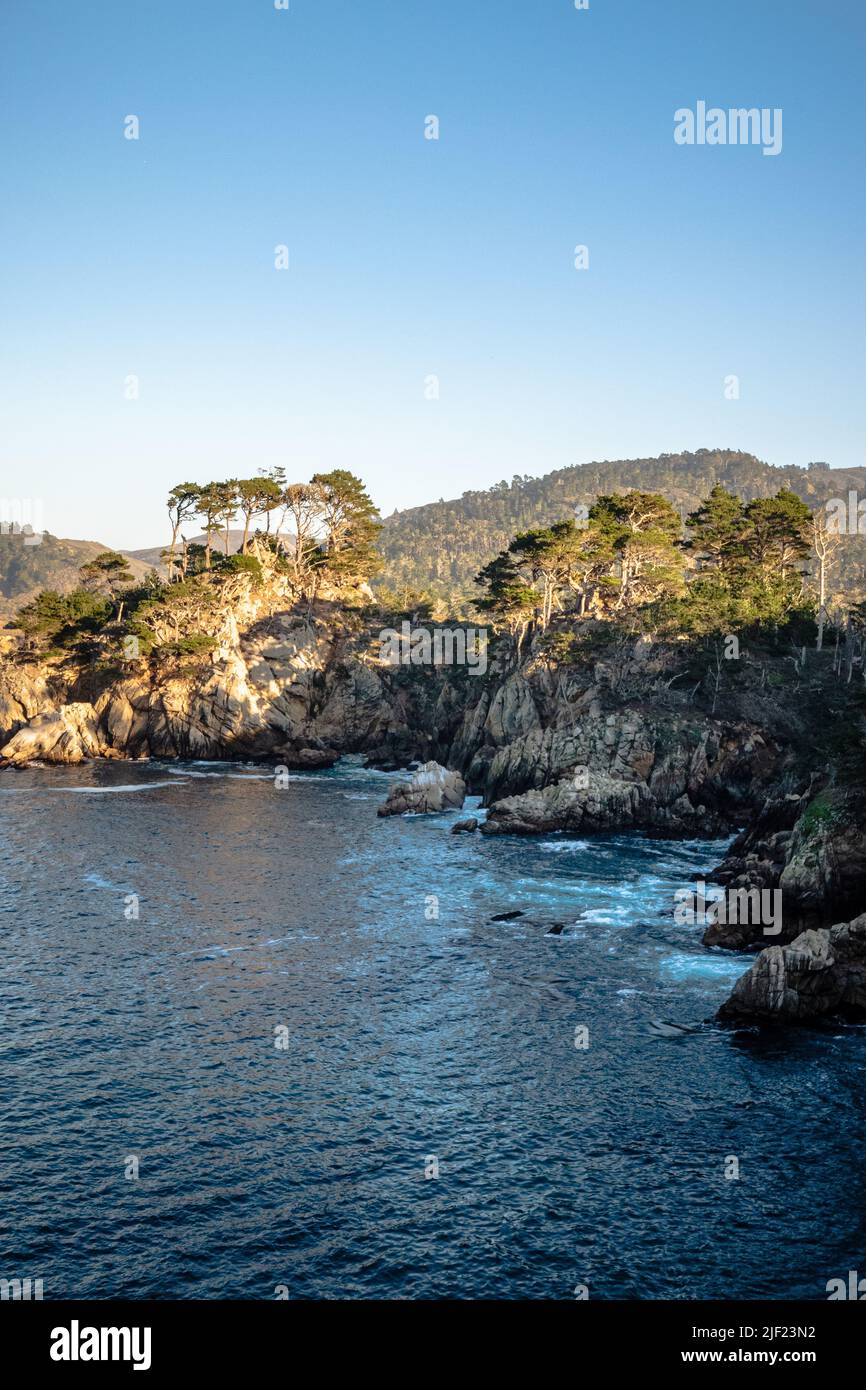 The view looking back toward highway one at Point Lobos state Reserve. Stock Photo