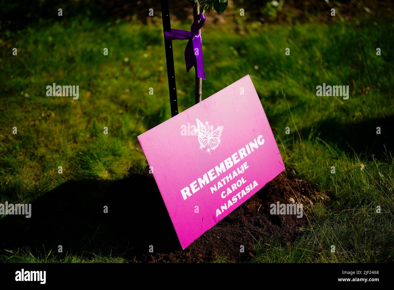 People take part in a vigil at the Women's Monument in Petawawa, Ont