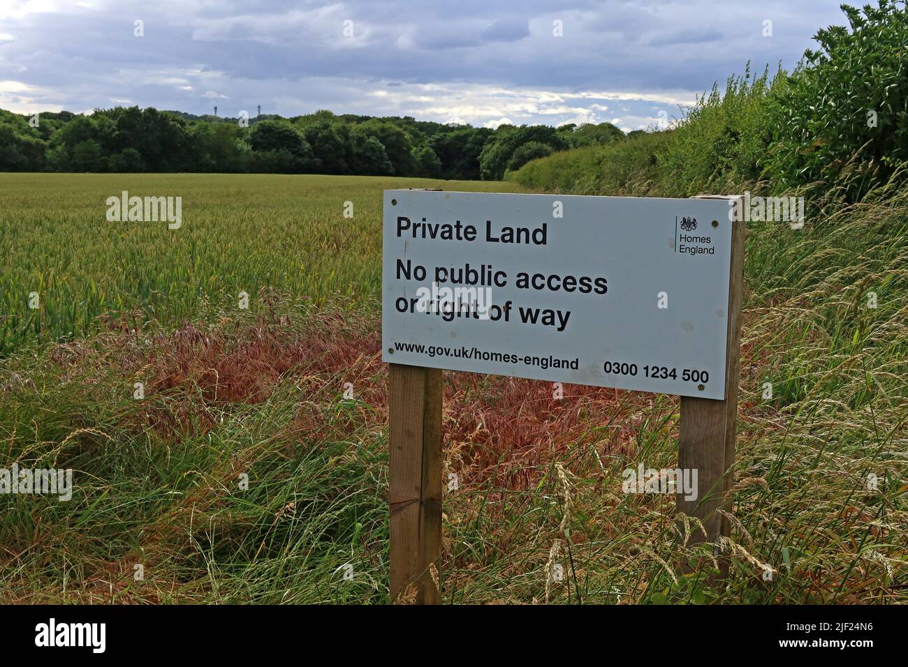 Green belt Private Land, Homes England, at Appleton, Warrington, Cheshire, England, UK, WA4 3HN Stock Photo