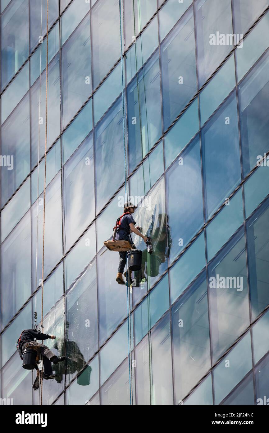 Window cleaners working while suspended from the top of the building
