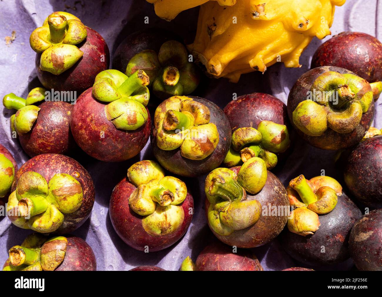 Organic mangosteens in the traditional Colombian market Garcinia