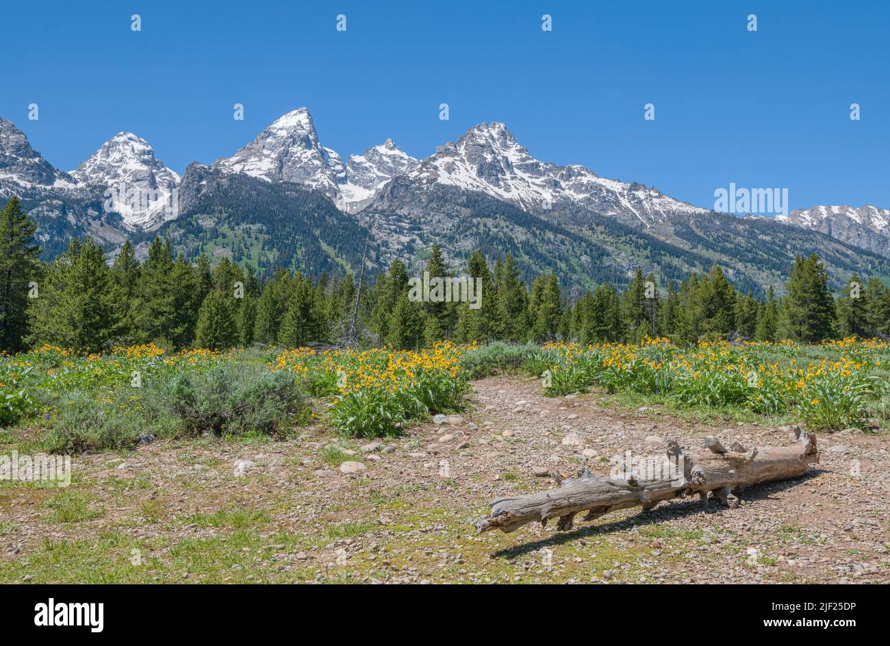 The Tetons viewpoint and landscape in Wyoming state. Stock Photo