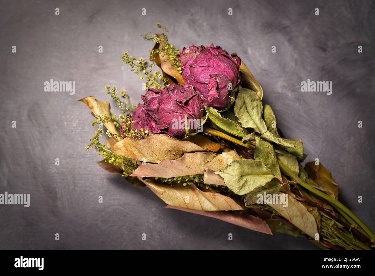 A studio photo of a bouquet of dried red roses on a table. Stock Photo