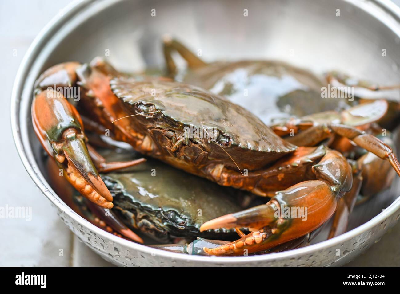 raw crab on pot , fresh mud crab for cooking food in the seafood