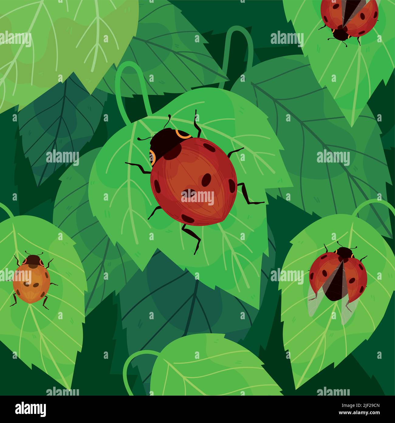ladybirds on leaves Stock Vector
