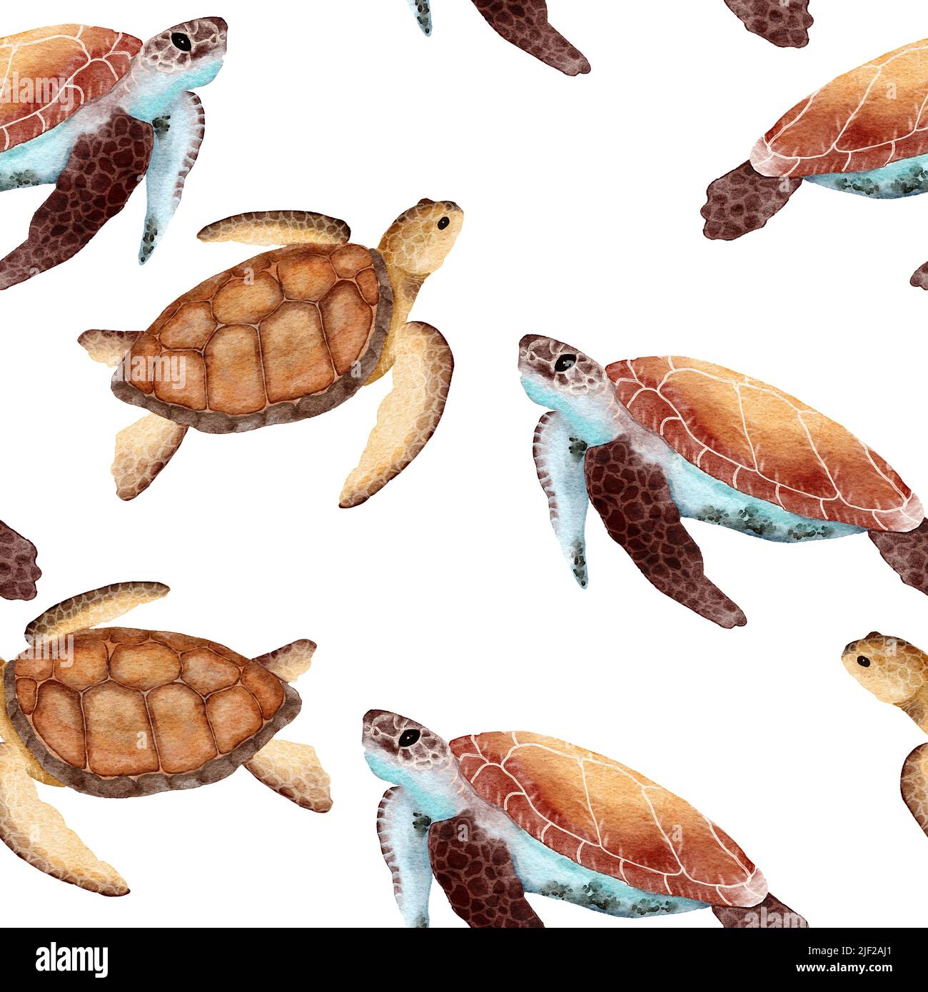 Hand drawn watercolor seamless pattern with turtle tortoise. Sea ocean marine animal, nautical underwater endangered mammal species. Blue gray illustration for fabric nursery decor, under the sea prints Stock Photo