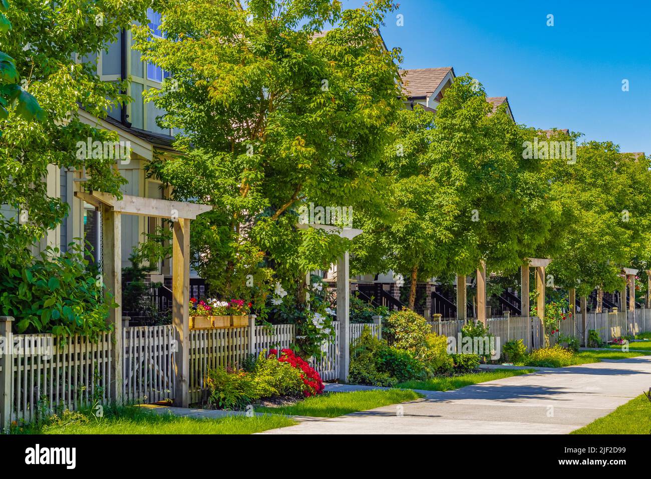 Street Vancouver Canada Tree Way Hi Res Stock Photography And Images Alamy