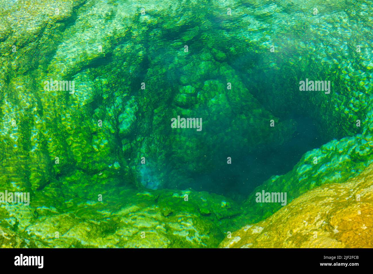 Close up view of a hot spring with bright green bacteria in Yellowstone National Park. Stock Photo