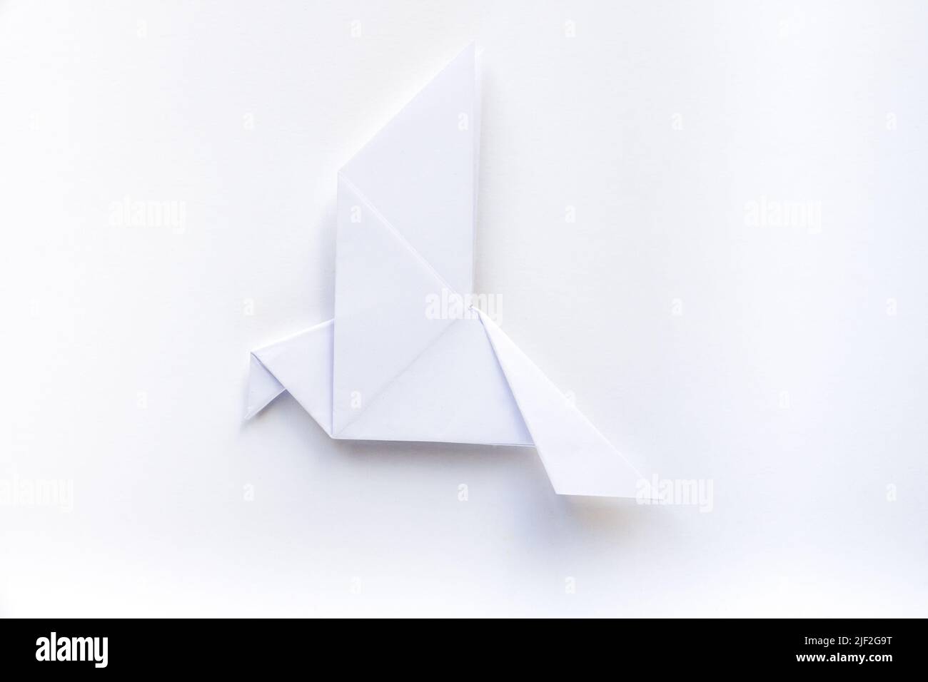 Paper dove origami isolated on a blank white background. Stock Photo