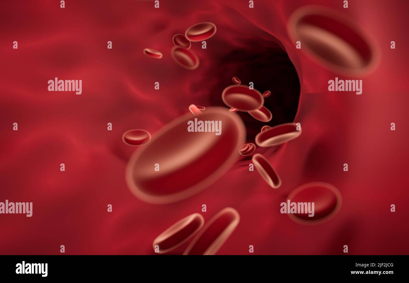 Red blood cells flowing through blood vessels, 3d rendering. Computer ...