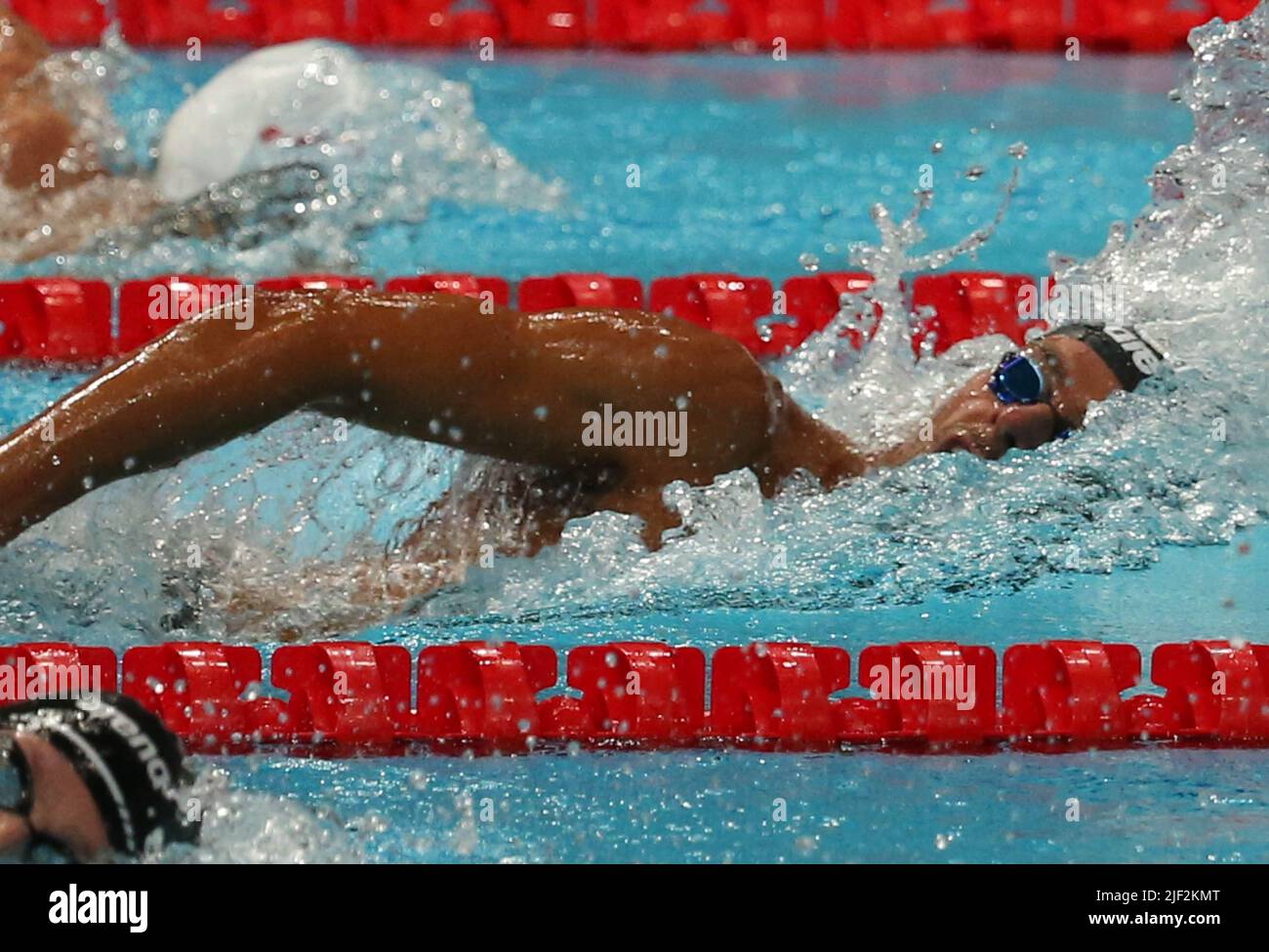 Gregorio Paltrinieri of Italy Heats 1500 M Freestyle Men during the 19th  FINA World Championships Budapest 2022, Swimming event on June 19 2022 in  Budapest, Hungary - Photo Laurent Lairys / DPPI Stock Photo - Alamy