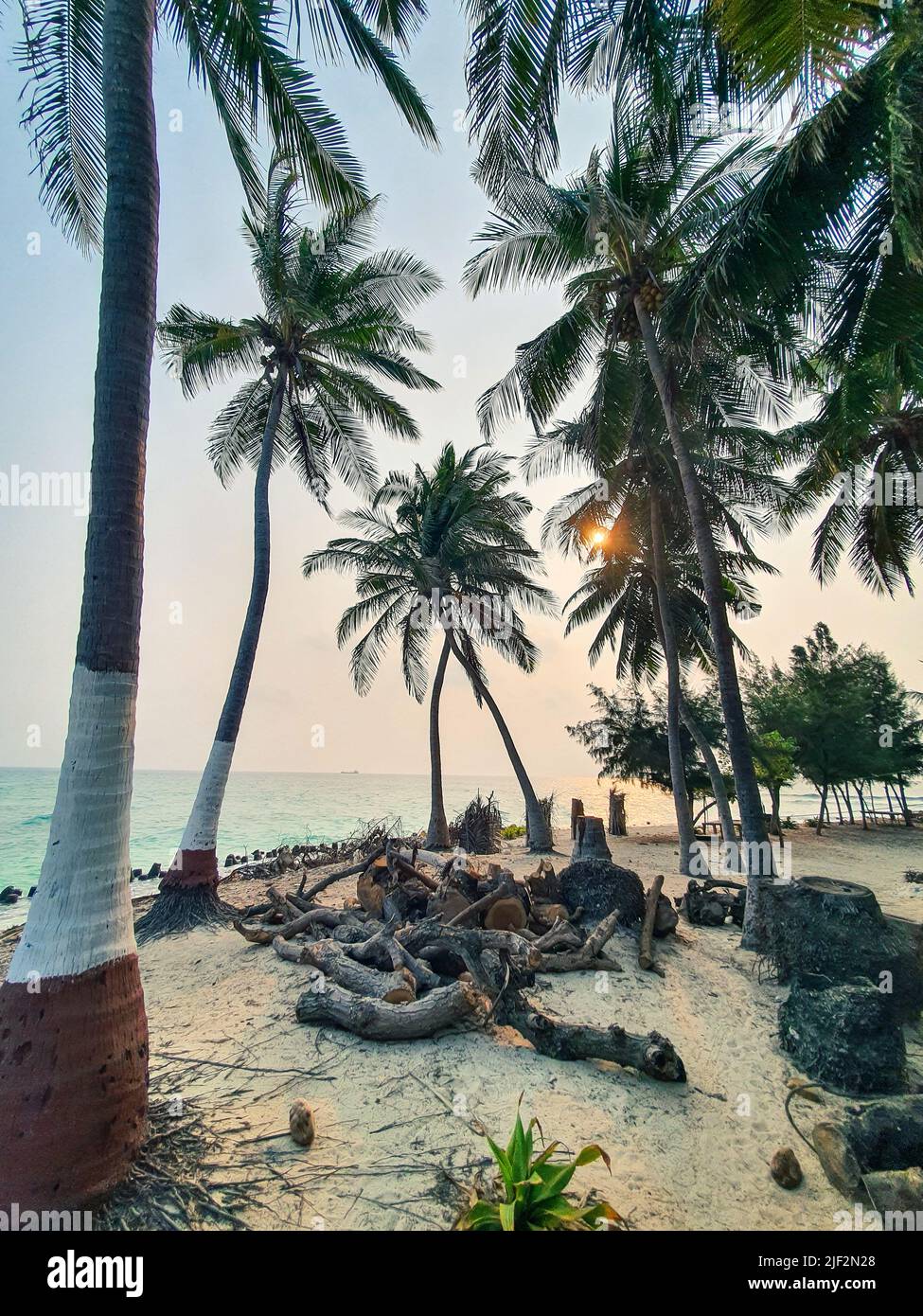 Lakshadweep, India - March 15, 2022: Coconut trees silhouette on beach in Lakshadweep Stock Photo