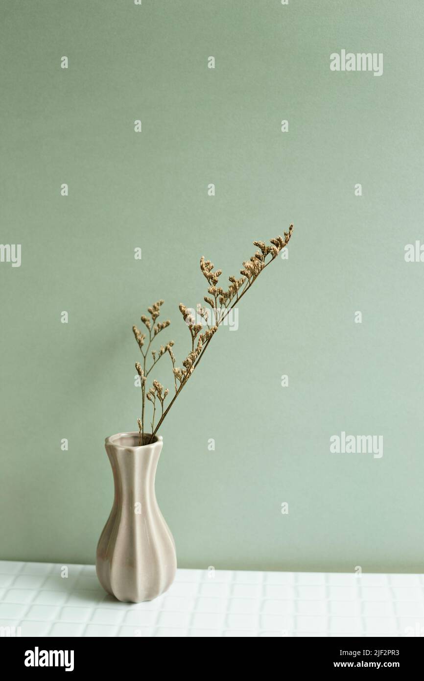 Vase of dry flowers on white table. khaki green wall background Stock Photo