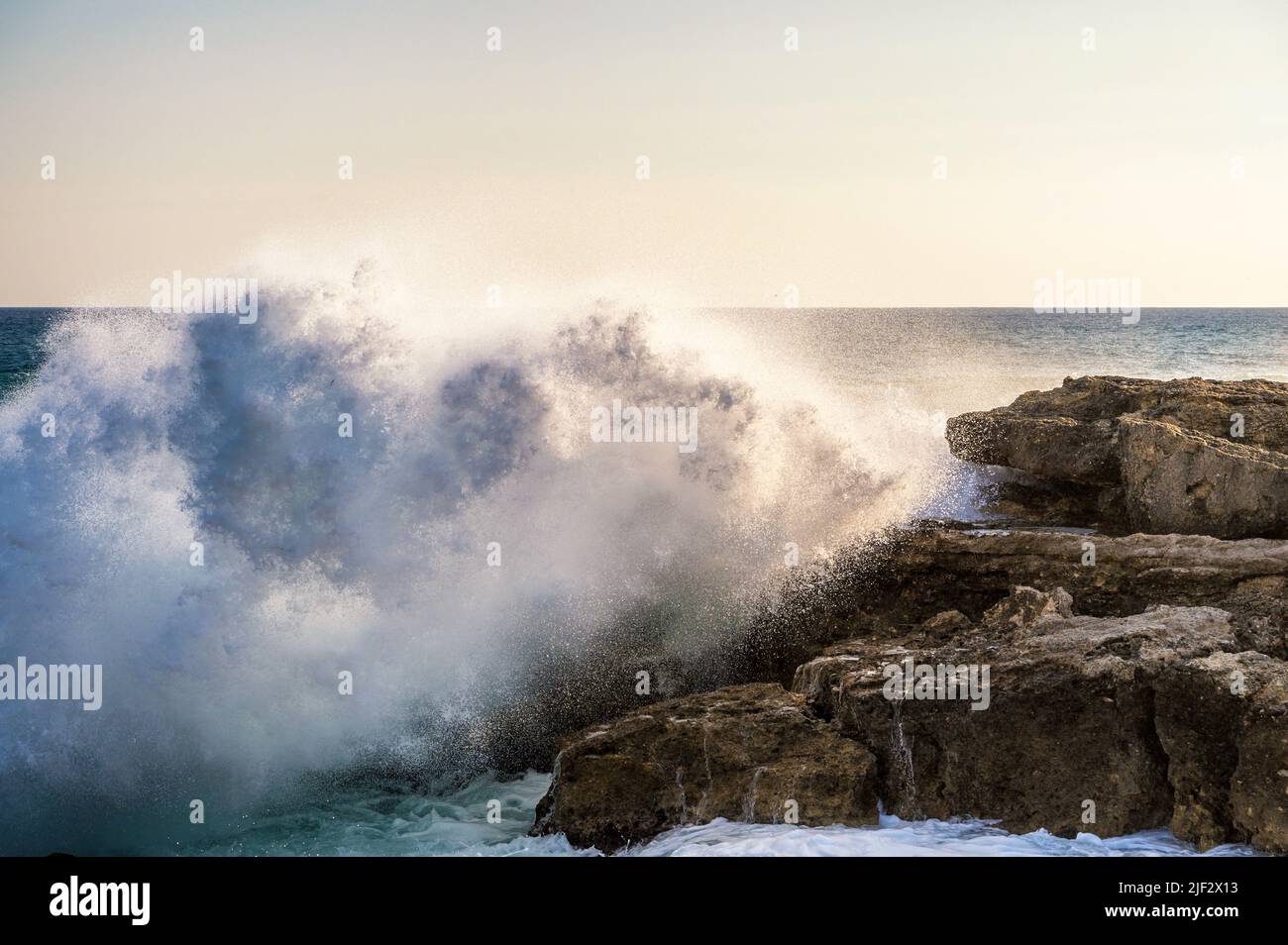 A huge wave hits the rocks of the coast in the evening sun Stock Photo