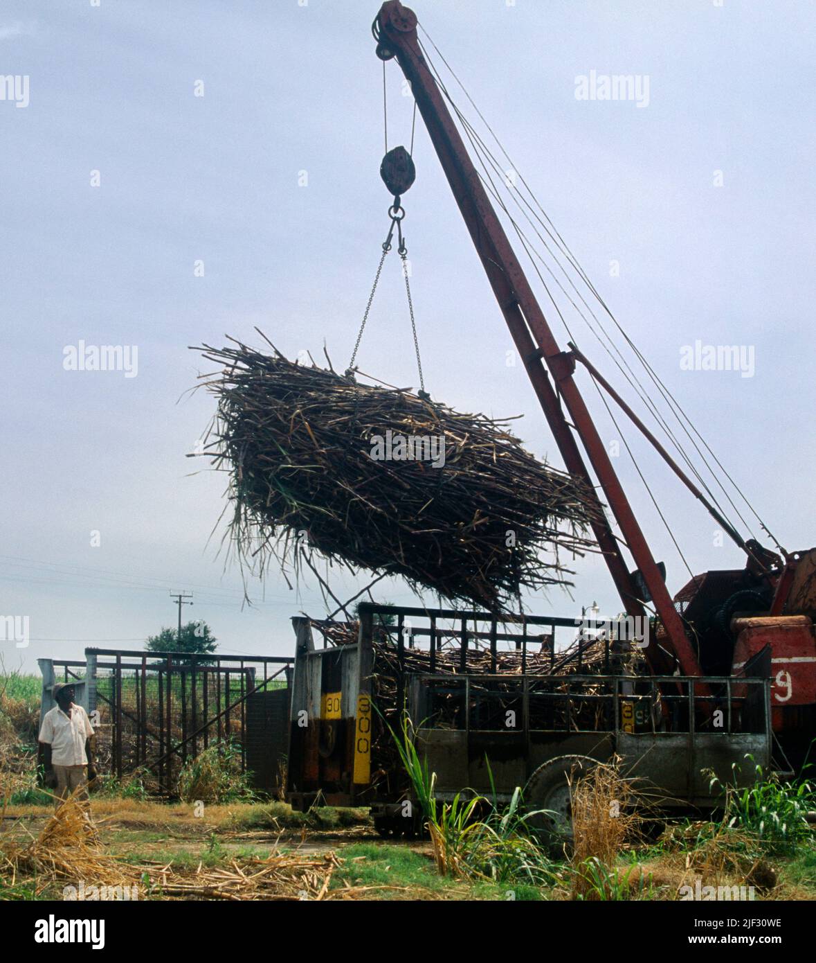 St Kitts Crane hoisting Sugarcane on to Trailer after Harvest Stock Photo