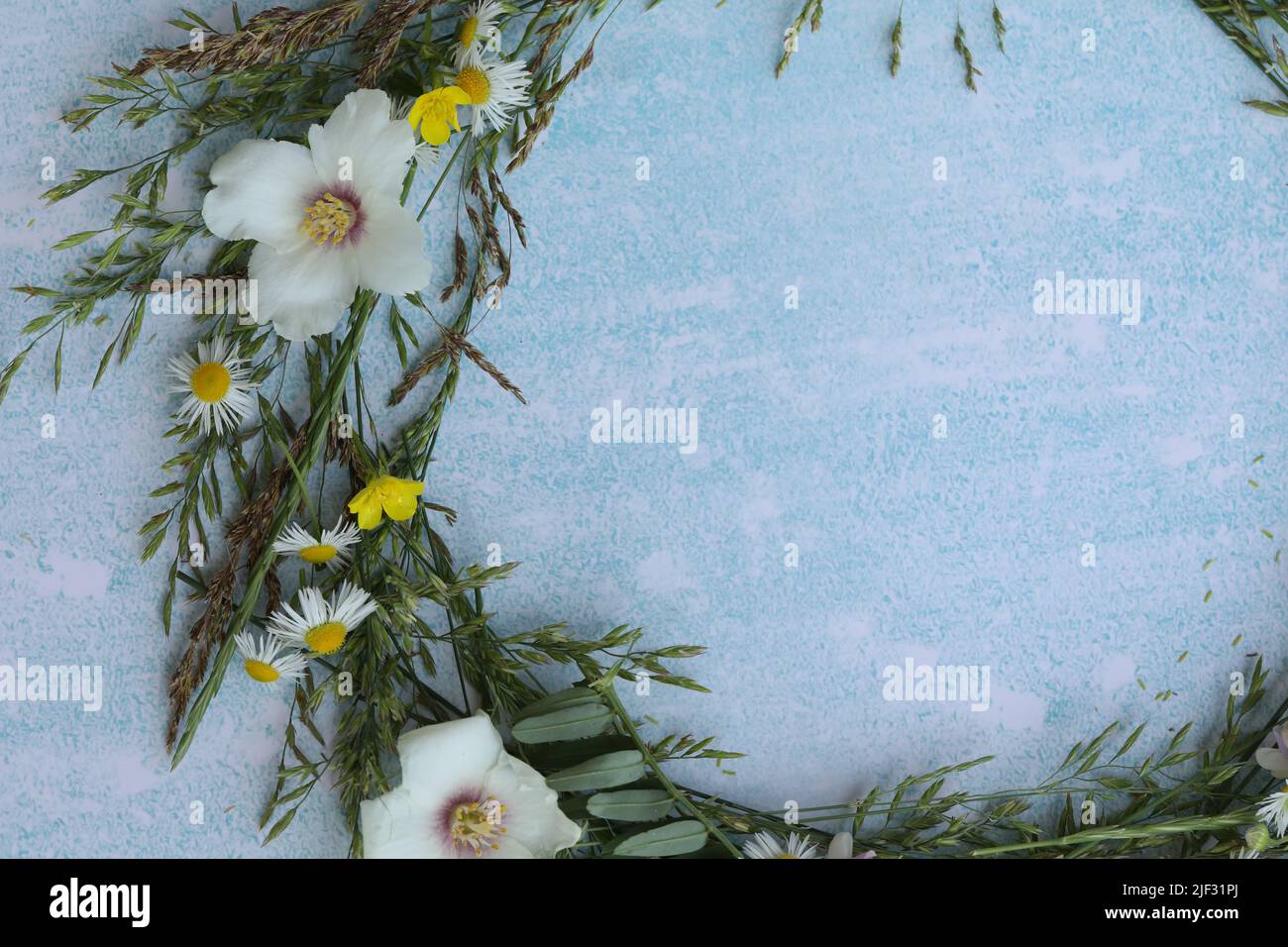 blue background with flowers frame and copy space Stock Photo - Alamy