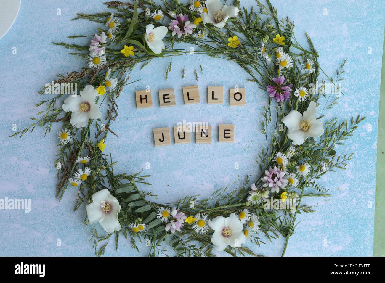 blue background with flowers frame and text. june Stock Photo - Alamy