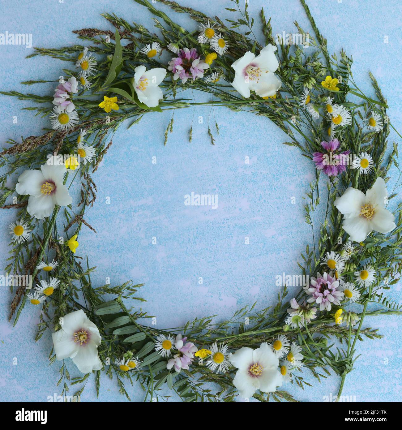 blue background with flowers frame and copy space Stock Photo - Alamy