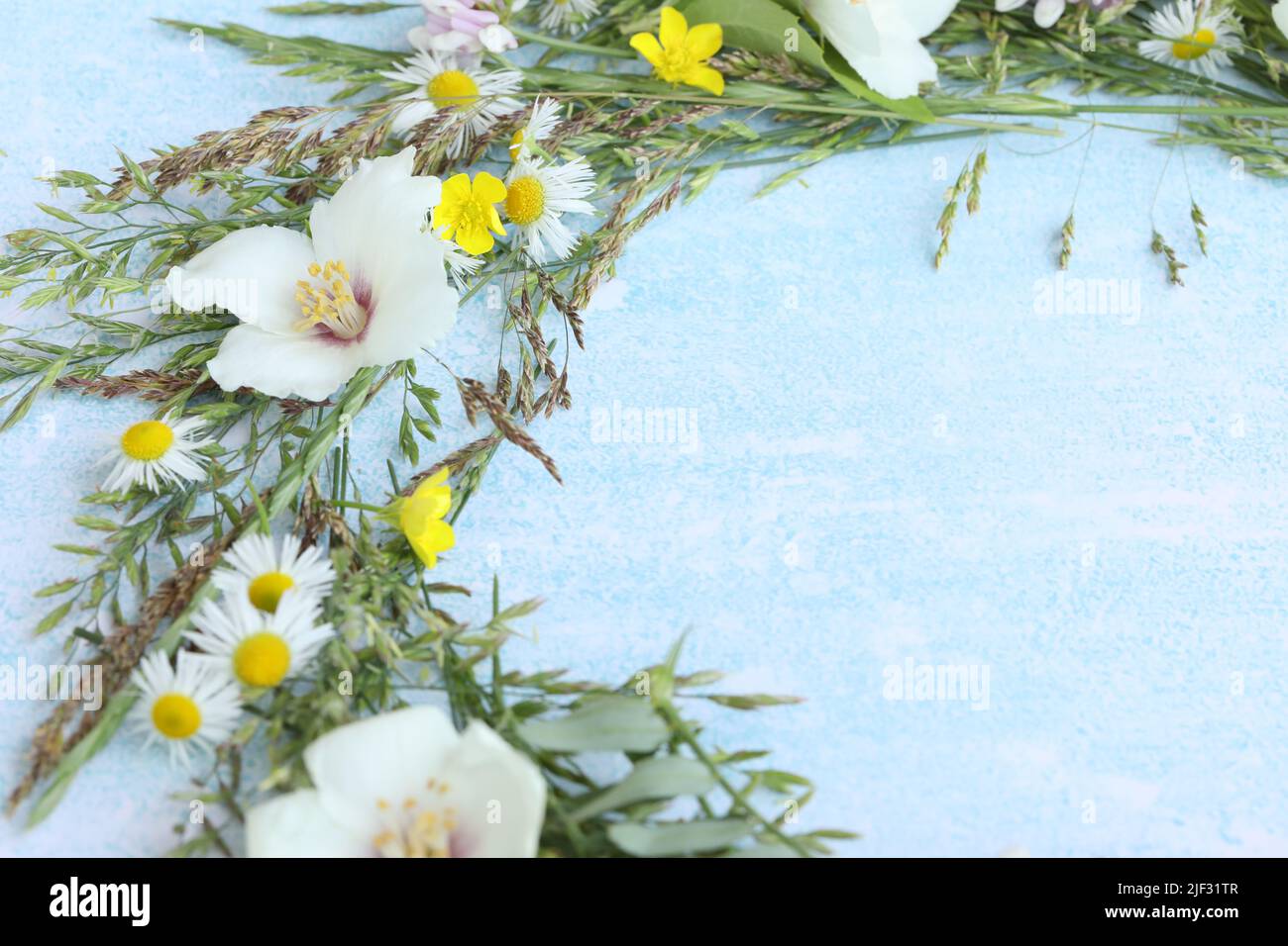 blue background with flowers frame and copy space Stock Photo - Alamy
